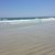 Susan Robertson Avinger's profile image
