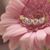Cathleen Ann's profile image