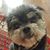 Karla Anderson Olterman's profile image