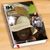 Sharon C Wilder-Jones's profile image