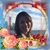 Argentina A Ramirez's profile image