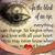 Michele Stobaugh-Heggedahl's profile image