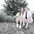 Missy Pennington's profile image