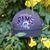 Rick Newhouse's profile image