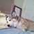 Susan Elizabeth Weaver Adams's profile image