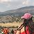 Marisol Padilla's profile image