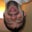 Brian Quaresma's profile image