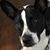 Daphne Holmes Kelly's profile image