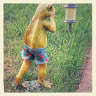 Moe m.'s profile image