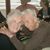 Barbara Beck's profile image