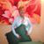 Susanne Giraud's profile image