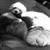 Susan Geggie Bensen's profile image