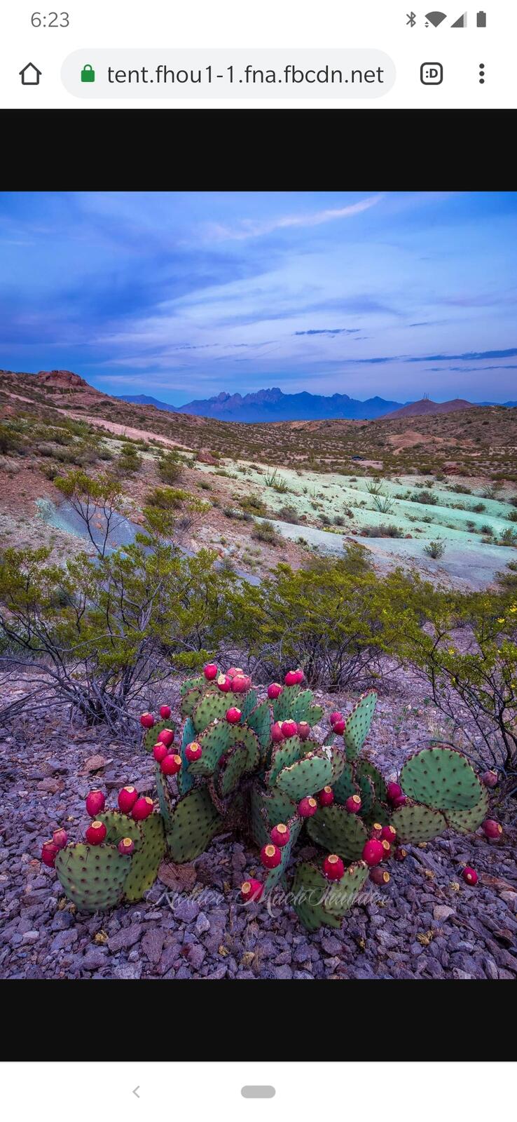 Cathy S.'s profile image