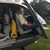 Mark Baumgardner's profile image