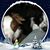 Kim Miller's profile image