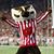 Bill Roche's profile image