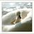 Joy Christy's profile image
