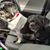Laura Deeter's profile image