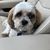 Pattie Gilbert's profile image