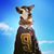 Kelly Smith's profile image