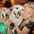 Michelle Hansen's profile image