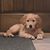 Jenny Refsdal Panichi's profile image