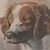 Frank Swarner Jr.'s profile image