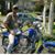 David Maciel Sr's profile image