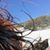 Larie Stephan's profile image
