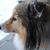 Sharon Weeks's profile image