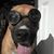 Elaine Schnoor Hobbs's profile image