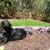 Linda Selbach's profile image