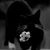 Kevyn Moody's profile image