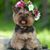Suzette James Ewell's profile image