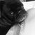 Bonnie Tack Amlaw's profile image