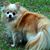 Lynn Edel's profile image