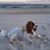 Edie Dellenger's profile image