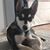 Susan Turner's profile image