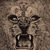 Matthew Pollet's profile image