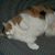 Kathie Garcia's profile image