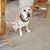 Julie Tucker Bryan's profile image