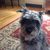 Laurice Rubel's profile image