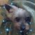 Roberta DeVore's profile image