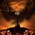 Allan Wright's profile image