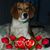 Lockhart Kristine Marcy's profile image