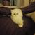 Brandie Lynn Bearmann's profile image