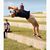 Brandon Morrison's profile image