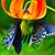 Sydney Knight's profile image