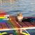 Sandy L Joiner's profile image
