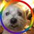 Lori Heagley's profile image